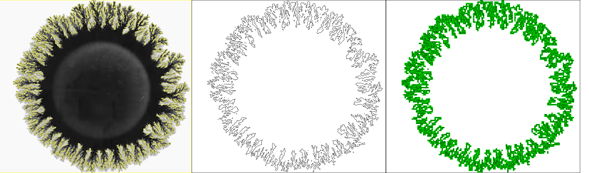 Vires: Fractal Analysis Software